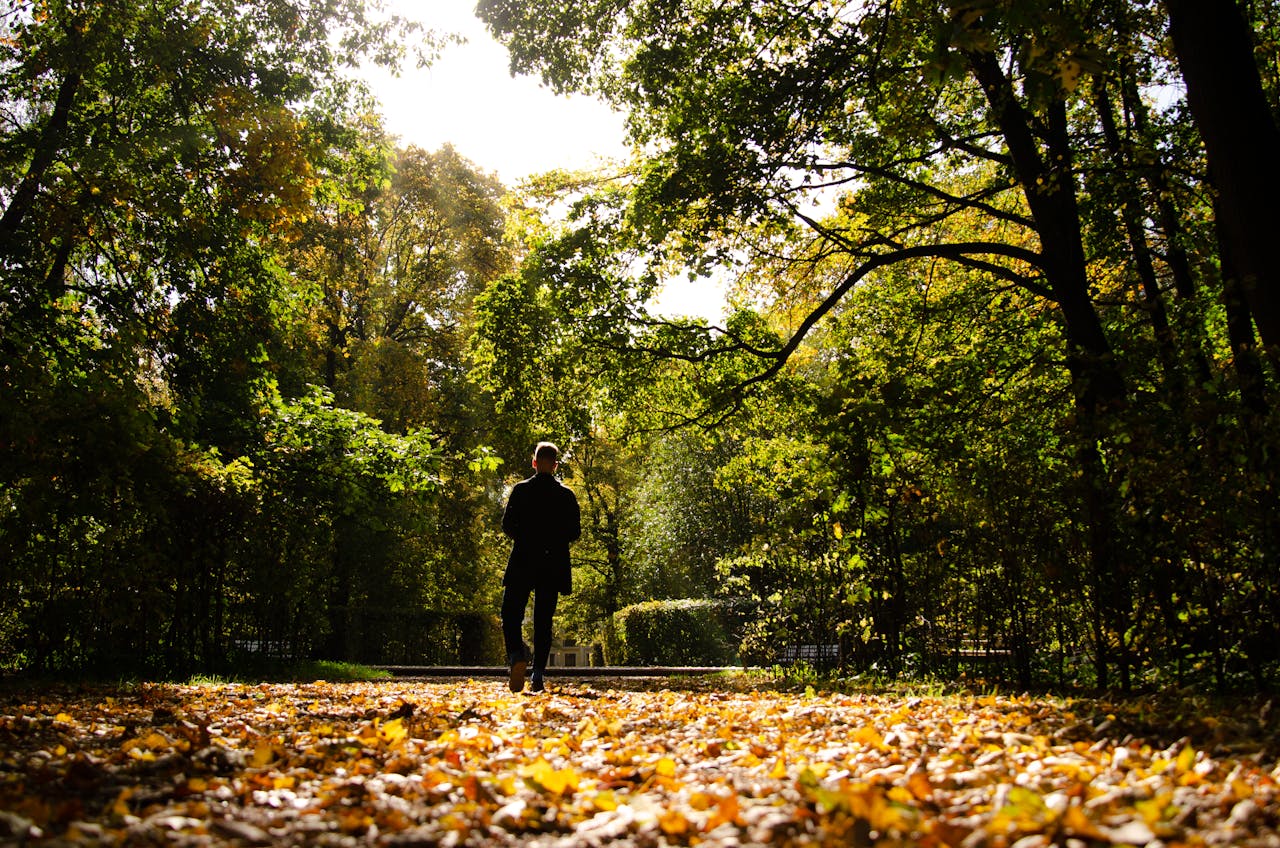 Back View of Person Walking on Footpath Full of Fallen Leaves